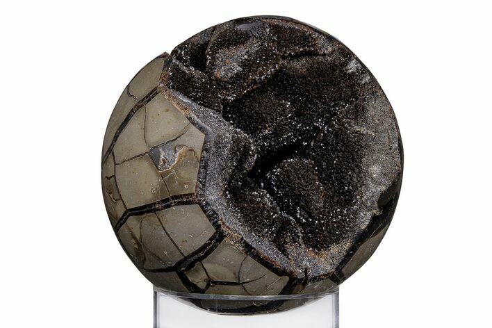 Polished, Septarian Geode Sphere - Madagascar #219106